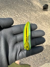 Image 1 of Surfboard Pendant Jade Green and Citron 