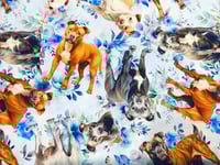 Image 22 of Dog Scrub Hats