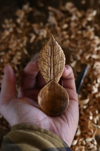 Image 1 of • Dark Cherry Leaf Scoop 