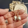 Limpet Shell Hook Earrings