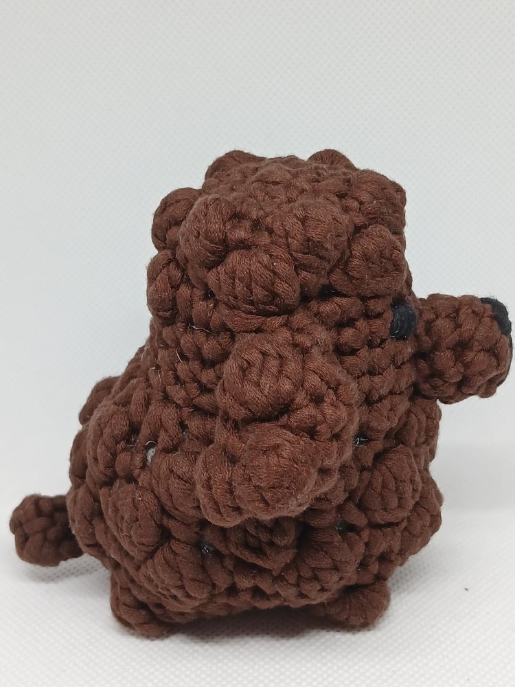 Image of Toy Poodle 