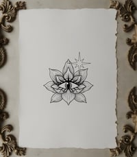 Spying Lotus