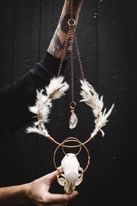 Image 5 of Cat Skull Hanger