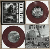 Image 3 of To The Point / Life's Torment "split" 7"