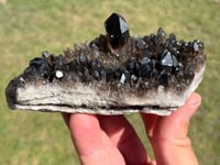 Image 17 of Smoky Quartz Crystal Points Cluster | Brazil #2971