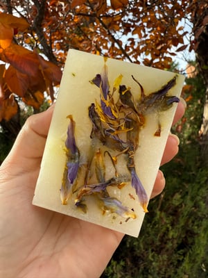 Image of Coconut Vanilla Set