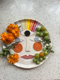 Image 1 of Vision face plate