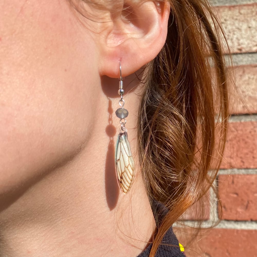 Image of fairy wing earrings