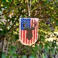 Image 2 of American Buck Freshie