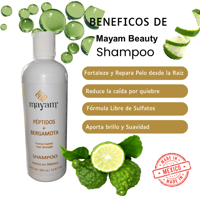Image 1 of Mayam Beauty Shampoo Péptidos + Bergamota
