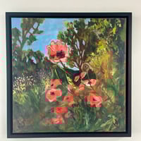 Image 1 of Wind blown Easky Poppies 