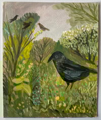 Crow visits the forget-me-nots