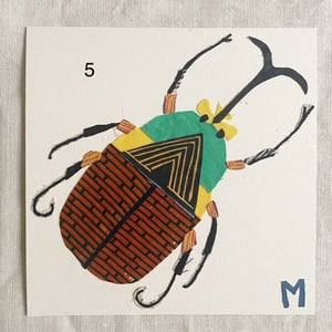 Image of square collage / insectes 