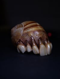 Image 11 of Dental Snull sculpture- blonde bone color, OOAK