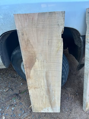 Figured/spalted maple slab 5