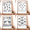 Image 1 of Flora & Fauna prints