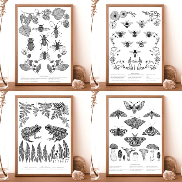 Image of Flora & Fauna prints