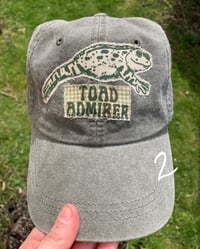 Image 3 of Patchy Caps