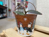 Image 2 of Purple Heart Tradescantia in Penguin Happy Holidays Tin