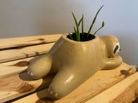 Image 6 of Aloe Vera In Lounging Sloth Pot