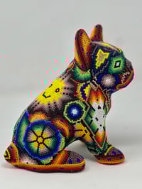 Image 2 of French Bulldog Puppy 003