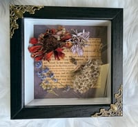 Image 1 of The Last Harvest
