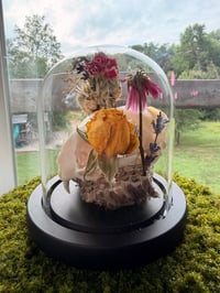 Image 2 of Honeycomb Kitty Cloche