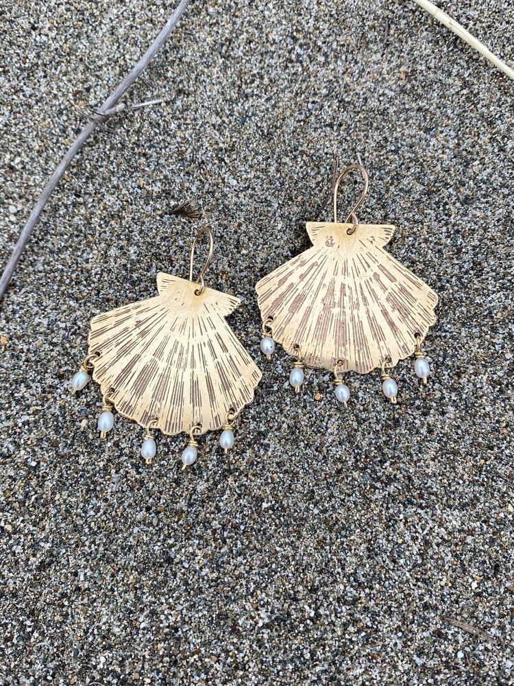 Image of Siren Shells