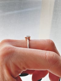 Image 2 of ANELL ZIRCONIA