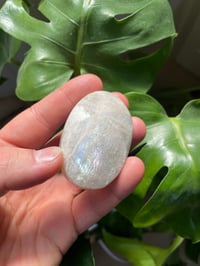 Image 5 of Moonstone Palm Crystal (1)