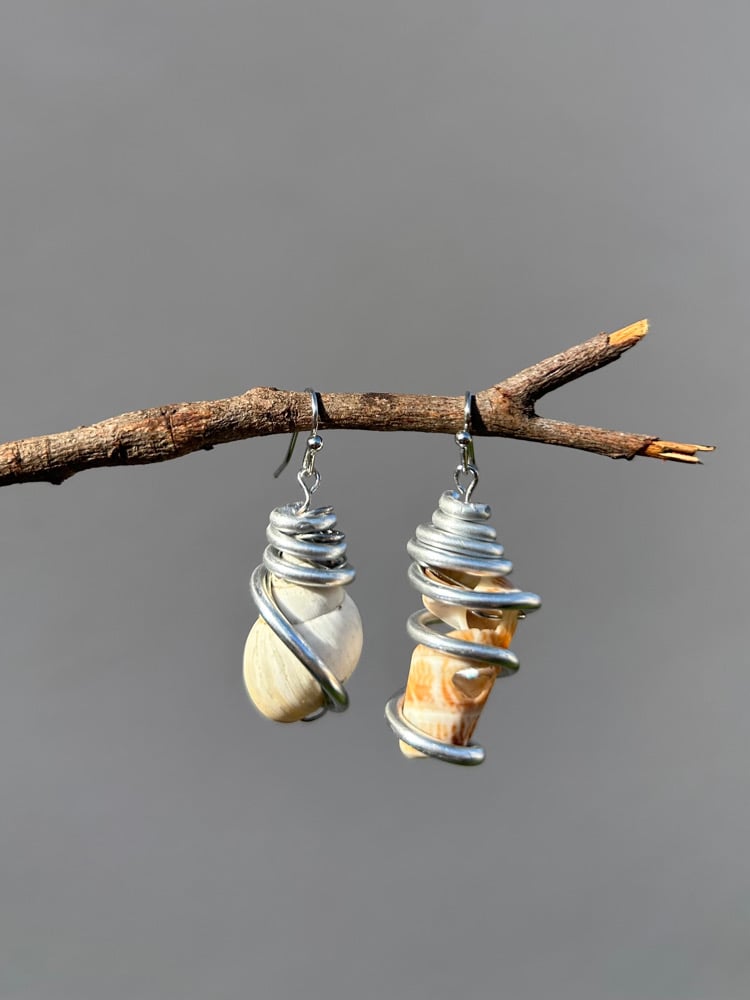 Image of ✧Spiral Shell Earrings