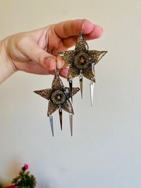 🌟Spiky Stapelia🌟