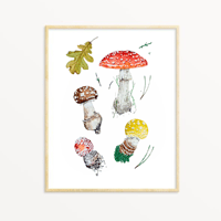 Image 1 of Amanita Muscaria Watercolor Illustration PRINT