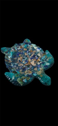 Image 7 of Turtle Tray