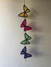 Image 1 of Butterflies V11