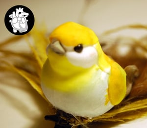 Image of MBa014 Miss Marigold (The Oliver Collection)