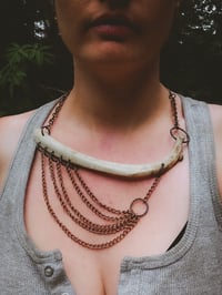 Image 4 of rib and chain