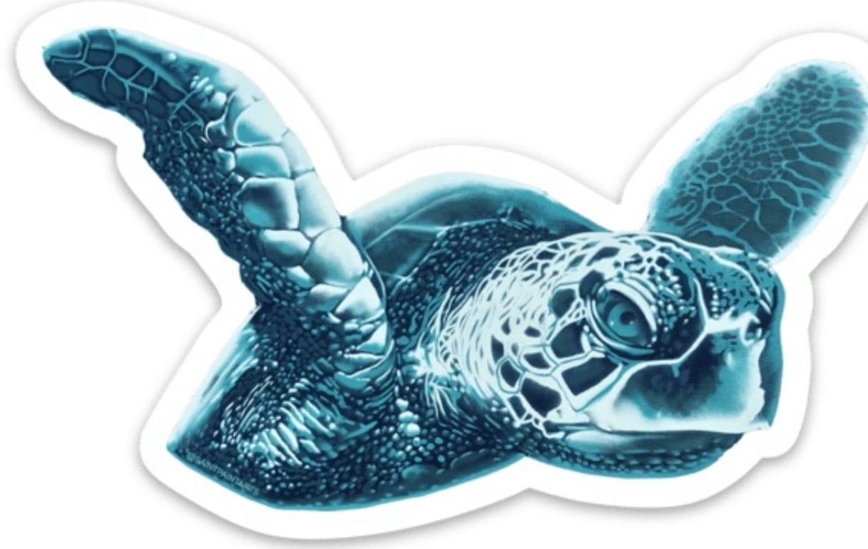 Image of Sea Turtle 4" X 2.5" Magnet