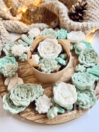 Image 3 of Succulent Garden