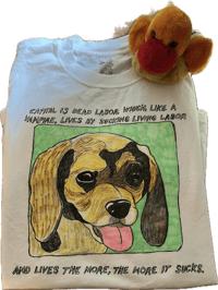 Image 1 of Dog shirt size L