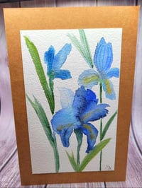 Image 5 of Les Fleurs