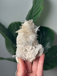 Image 1 of COLOMBIAN NEEDLE QUARTZ D