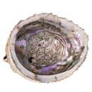 Image 2 of Abalone Shell 