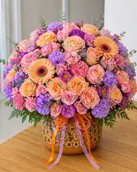 Image 1 of Ollita Lavanda