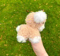 Image 2 of Baby Cow