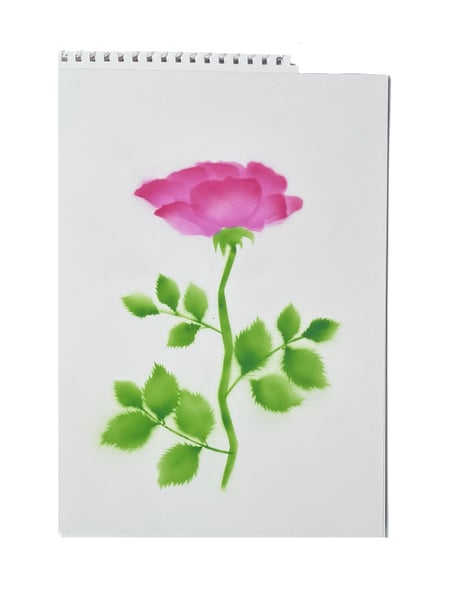 Image of Rose ‘Ulrich Brunner’ - 1 rose (9)