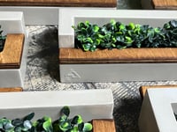 Image 4 of PLAZA PLANTER - V2