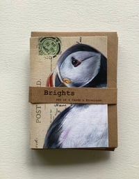 Image 1 of Brights