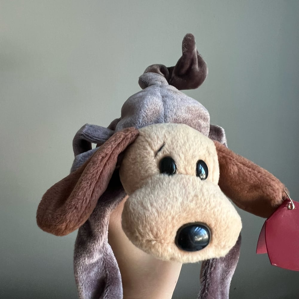 Image of Dog Scorpio
