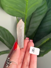 Image 8 of SUGAR COATED QUARTZ POINTS  -INNER MONGOLIA-